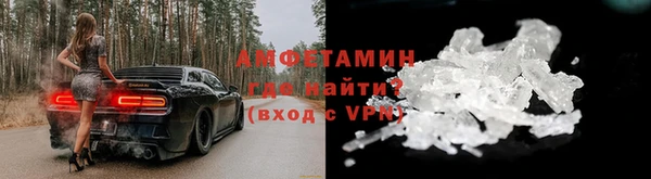 сатива Балахна