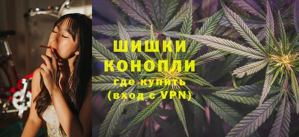 сатива Балахна