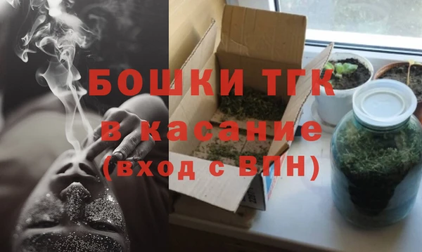 сатива Балахна