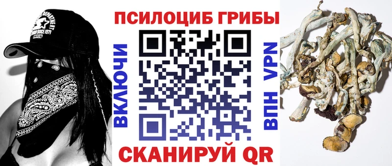 Псилоцибиновые грибы Psilocybe  где продают   Усть-Джегута 