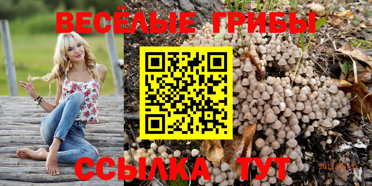 купить наркоту  Псилоцибиновые грибы мицелий  Усть-Джегута  Вход с VPN  Галлюциногенные грибы Cubensis 